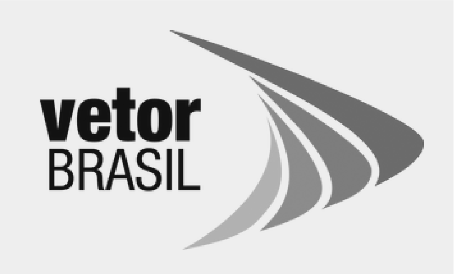 Vetor Brasil